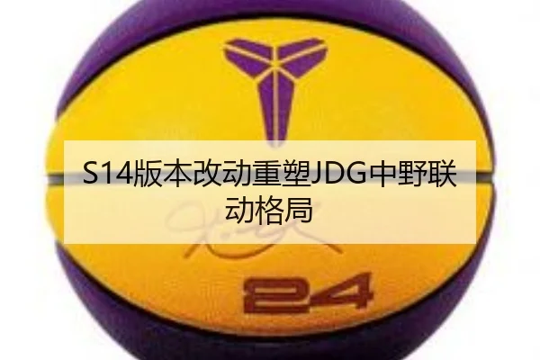 S14版本改动重塑JDG中野联动格局